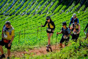 BIB: 3022
                            <button type="button" onclick="openModal(19163485)" class="btn btn-primary btn-sm float-right btn-popup" data-toggle="modal" data-target=".modal-high-quality">
                        <i class="fas fa-shopping-cart"></i> Add to Cart
                    </button>
                                            <button type="button" onclick="isThisMe(19163485, true)" class="btn btn-success btn-sm float-right btn-popup btn-isme hidden" data-toggle="tooltip" data-placement="bottom" title="นี่คือรูปของคุณใช่ไหม คลิกที่นี่เพื่อเอาเข้าอัลบั้ม">
                        <i class="fas fa-plus"></i> Add to album
                    </button>
                    <button type="button" onclick="isThisMe(19163485, false)" class="btn btn-warning btn-sm float-right btn-popup btn-isnotme hidden">
                        <i class="fas fa-ban"></i> Remove from album
                    </button>